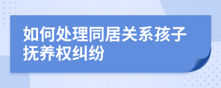 如何处理同居关系孩子抚养权纠纷