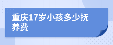 重庆17岁小孩多少抚养费