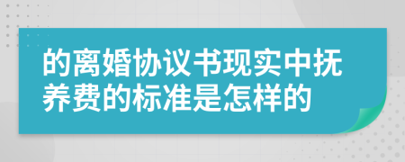 的离婚协议书现实中抚养费的标准是怎样的