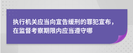 执行机关应当向宣告缓刑的罪犯宣布，在监督考察期限内应当遵守哪