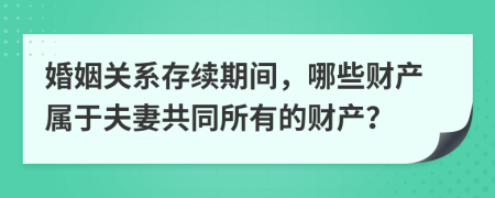 婚姻关系存续期间，哪些财产属于夫妻共同所有的财产？