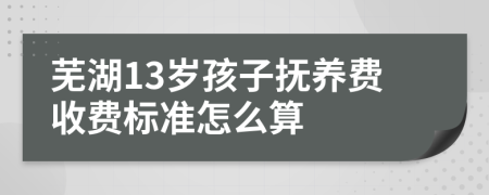 芜湖13岁孩子抚养费收费标准怎么算