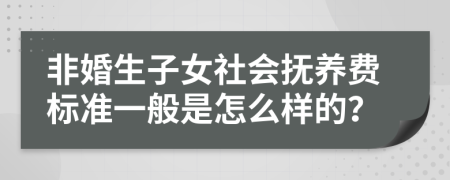 非婚生子女社会抚养费标准一般是怎么样的？