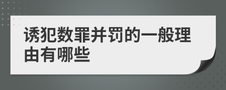 诱犯数罪并罚的一般理由有哪些