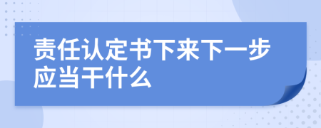 责任认定书下来下一步应当干什么