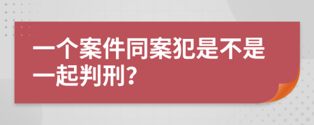 一个案件同案犯是不是一起判刑？