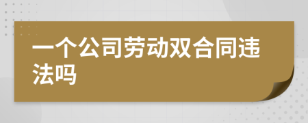 一个公司劳动双合同违法吗