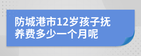 防城港市12岁孩子抚养费多少一个月呢