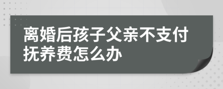 离婚后孩子父亲不支付抚养费怎么办