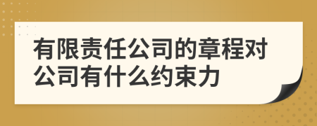 有限责任公司的章程对公司有什么约束力