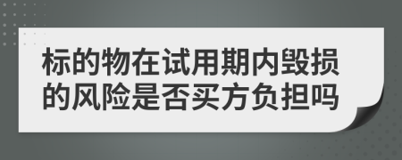 标的物在试用期内毁损的风险是否买方负担吗