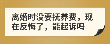 离婚时没要抚养费，现在反悔了，能起诉吗