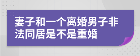 妻子和一个离婚男子非法同居是不是重婚