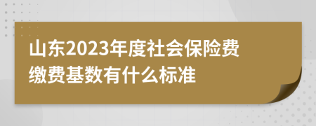 山东2023年度社会保险费缴费基数有什么标准