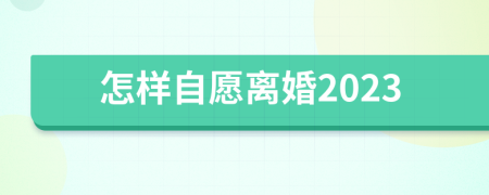 怎样自愿离婚2023