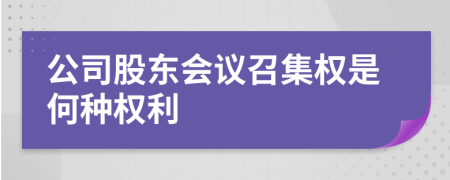 公司股东会议召集权是何种权利