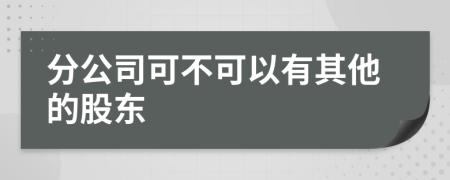 分公司可不可以有其他的股东