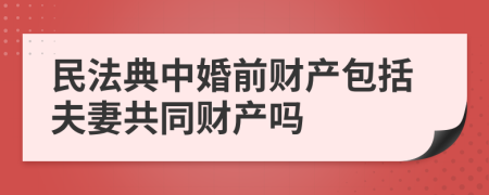 民法典中婚前财产包括夫妻共同财产吗