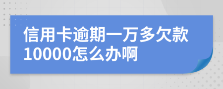 信用卡逾期一万多欠款10000怎么办啊