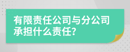 有限责任公司与分公司承担什么责任？