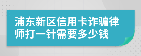 浦东新区信用卡诈骗律师打一针需要多少钱