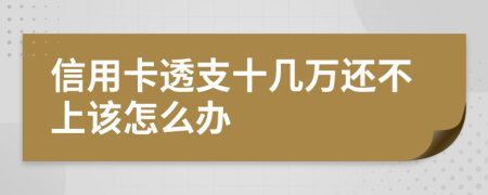 信用卡透支十几万还不上该怎么办