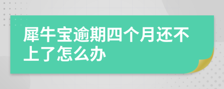 犀牛宝逾期四个月还不上了怎么办