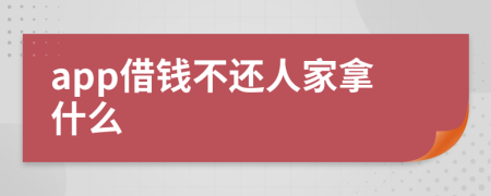 app借钱不还人家拿什么