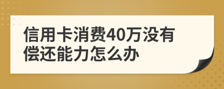 信用卡消费40万没有偿还能力怎么办