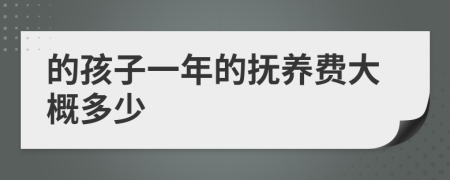 的孩子一年的抚养费大概多少