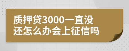 质押贷3000一直没还怎么办会上征信吗