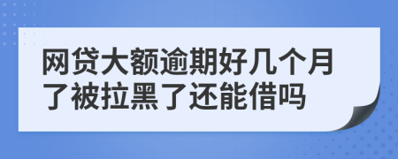 网贷大额逾期好几个月了被拉黑了还能借吗