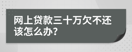 网上贷款三十万欠不还该怎么办？