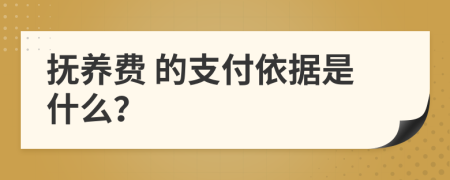  抚养费 的支付依据是什么？