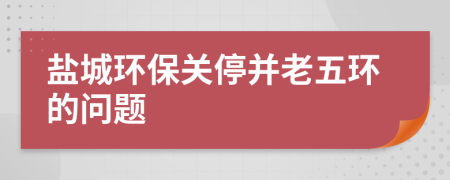 盐城环保关停并老五环的问题