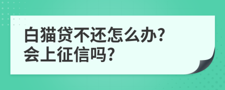 白猫贷不还怎么办? 会上征信吗?