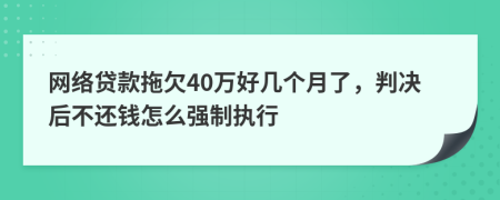 网络贷款拖欠40万好几个月了，判决后不还钱怎么强制执行