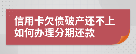 信用卡欠债破产还不上如何办理分期还款