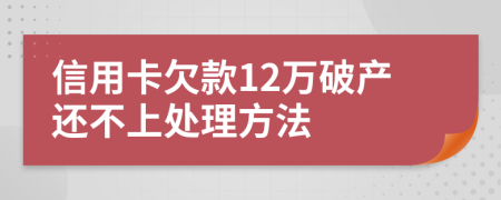 信用卡欠款12万破产还不上处理方法