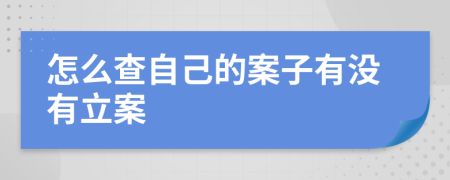 怎么查自己的案子有没有立案