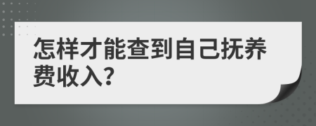 怎样才能查到自己抚养费收入？