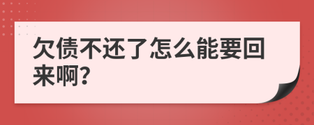 欠债不还了怎么能要回来啊？