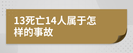 13死亡14人属于怎样的事故