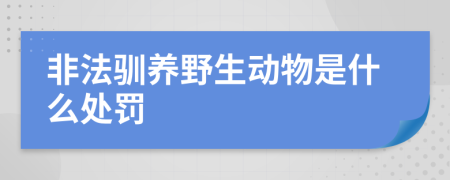 非法驯养野生动物是什么处罚