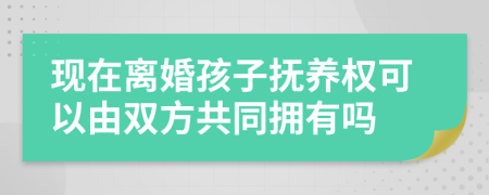 现在离婚孩子抚养权可以由双方共同拥有吗