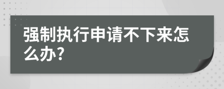 强制执行申请不下来怎么办?