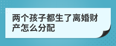 两个孩子都生了离婚财产怎么分配