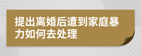 提出离婚后遭到家庭暴力如何去处理