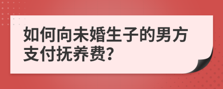 如何向未婚生子的男方支付抚养费？