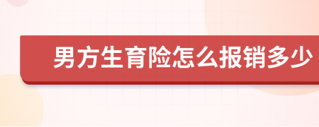 男方生育险怎么报销多少